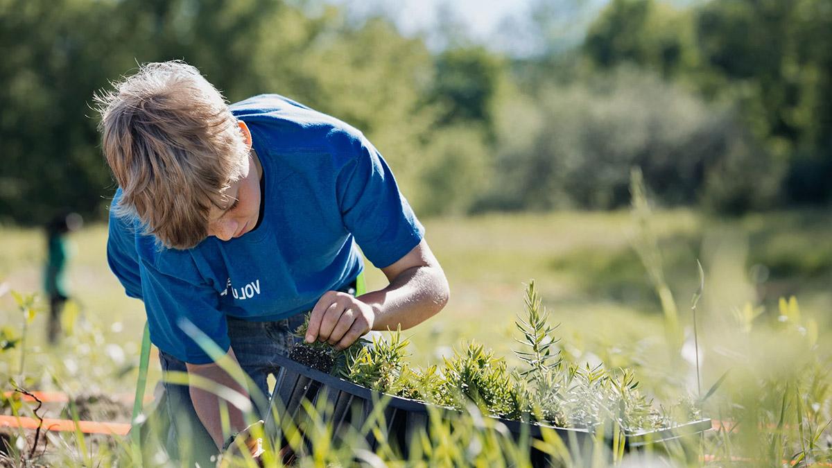 CI-PlantingSeeds.jpg